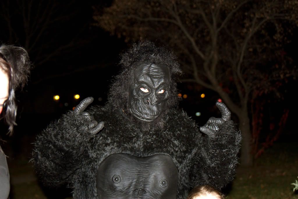 IMAGE: http://i19.photobucket.com/albums/b178/silentlore/r-1.jpg