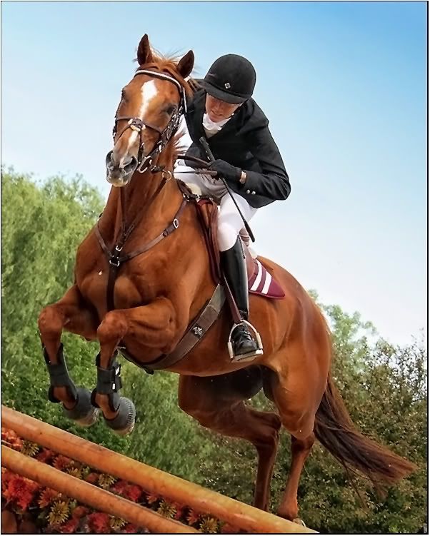 IMAGE: http://i19.photobucket.com/albums/b179/demicent/cseaton4roomtospare.jpg