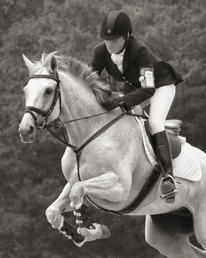 IMAGE: http://i19.photobucket.com/albums/b179/demicent/greyjumper.jpg