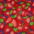 Freshly Picked Strawberries Wetbag!  15x15