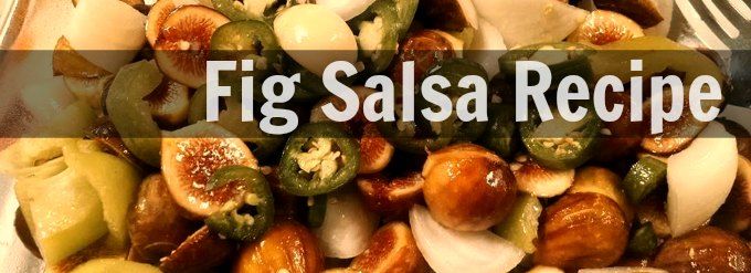 Fig Salsa Recipe