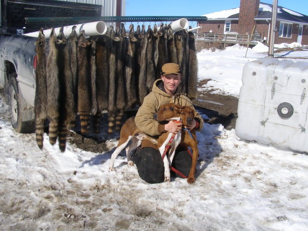 Grandson and Coonhounds - The Great Outdoors