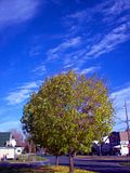 fall001.jpg image by SubtleVanity
