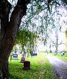 fall005.jpg image by SubtleVanity