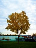 fall007.jpg image by SubtleVanity