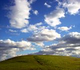 fall010.jpg image by SubtleVanity
