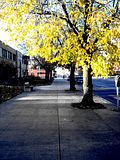 fall011.jpg image by SubtleVanity