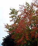 fall013.jpg image by SubtleVanity