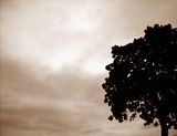 fall015.jpg image by SubtleVanity