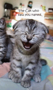 tabs276.gif image by SubtleVanity