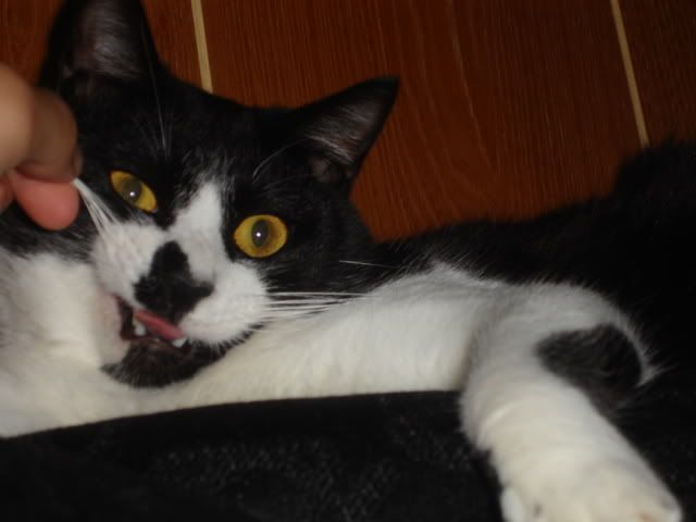 [Image: Picture102.jpg]