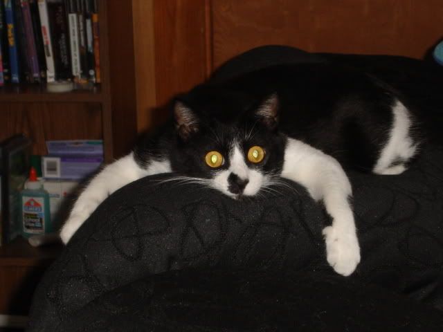 [Image: Picture114.jpg]