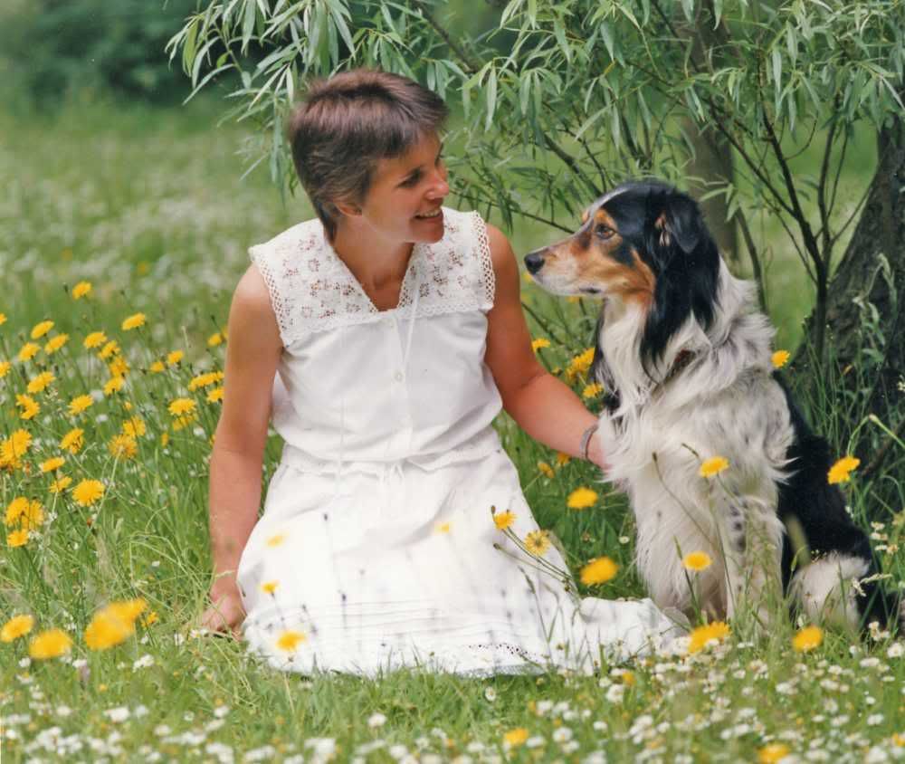 IMAGE: http://i19.photobucket.com/albums/b182/bidkev/bidylan.jpg