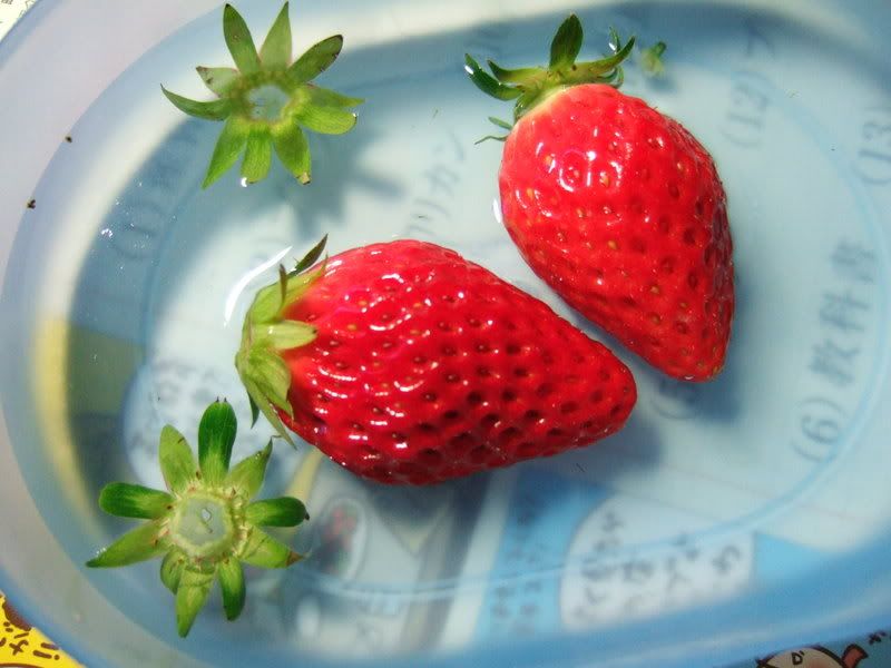 Strawberries in Water