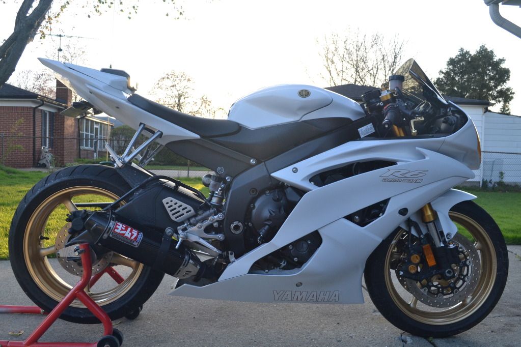 Details about Yamaha R6 decals stickers WHITE with GOLD outline ...