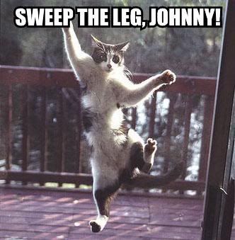 [Image: sweep-the-leg-johnny.jpg]