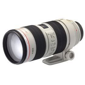 canon 70-200 f/2.8 wide aperture len