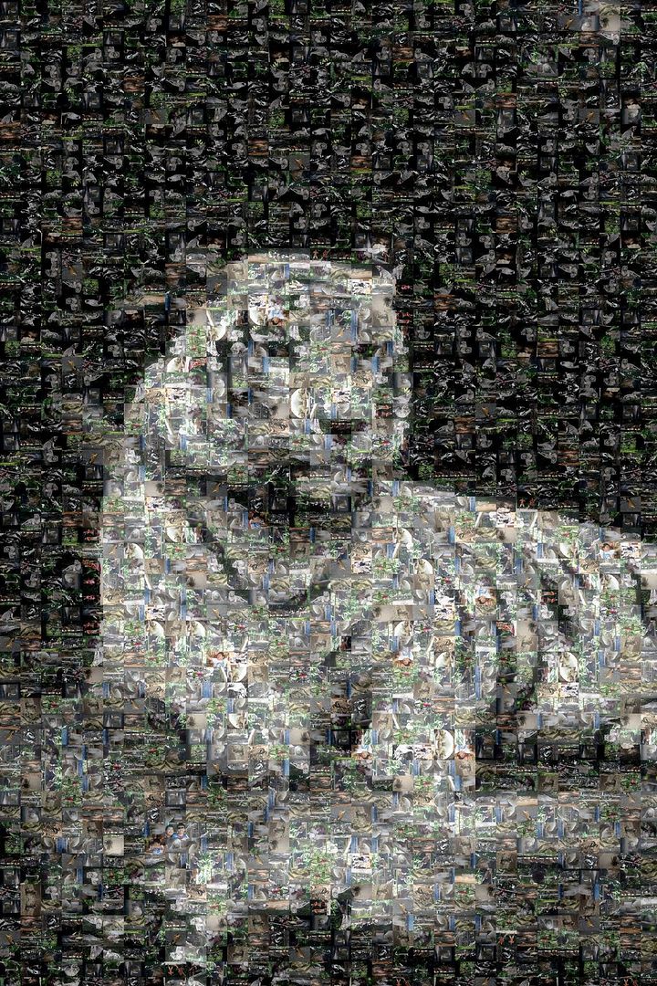 Photo Mosaic