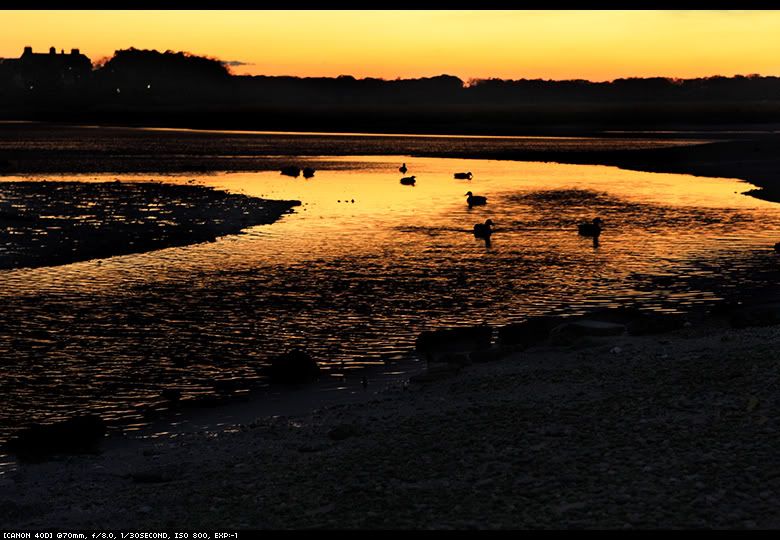 IMAGE: http://i19.photobucket.com/albums/b188/yanwai/Landscape%20Collection/d945792c.jpg