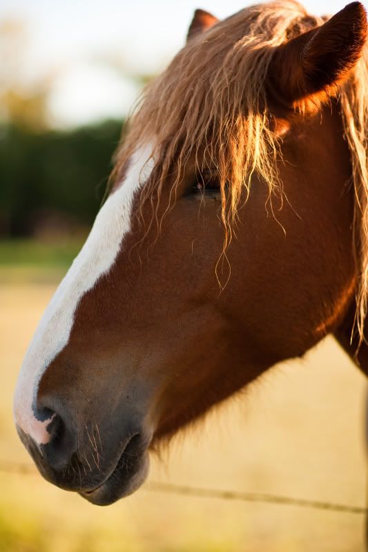 IMAGE: http://i19.photobucket.com/albums/b189/dzaneh/-1-5.jpg