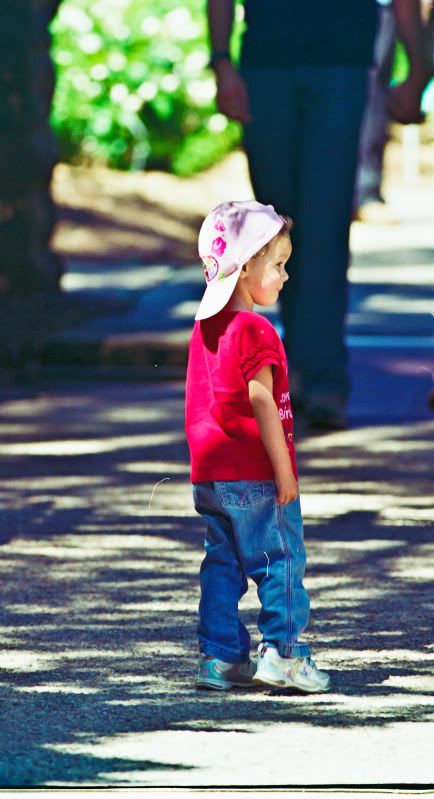 IMAGE: http://i19.photobucket.com/albums/b189/dzaneh/botanicgardens-1-2.jpg