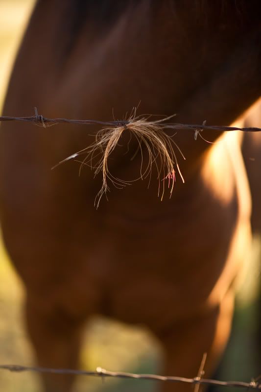 IMAGE: http://i19.photobucket.com/albums/b189/dzaneh/sunrise-1-10.jpg