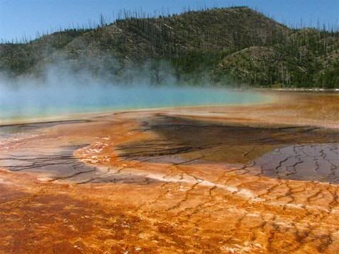 IMAGE: http://i19.photobucket.com/albums/b191/Idnas71/Denver%20and%20Yellowstone%202006/grandprismatic_1.jpg