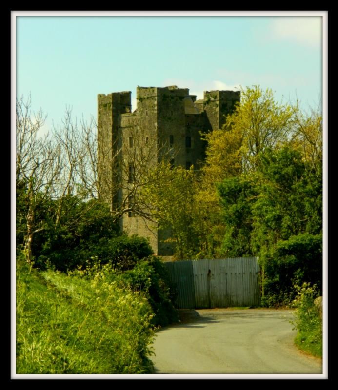 DunsoghlyCastle.jpg