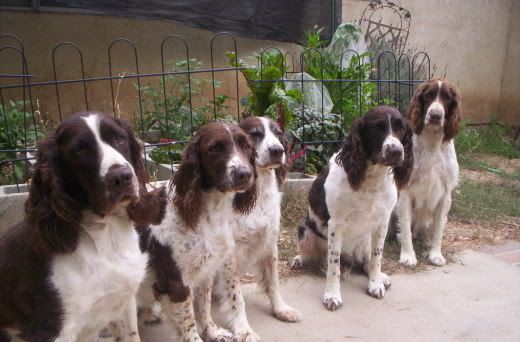 Image hosted by Photobucket.com