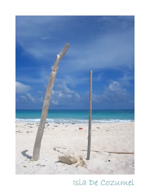 http://i19.photobucket.com/albums/b194/fpooh/CozumelHFR.jpg