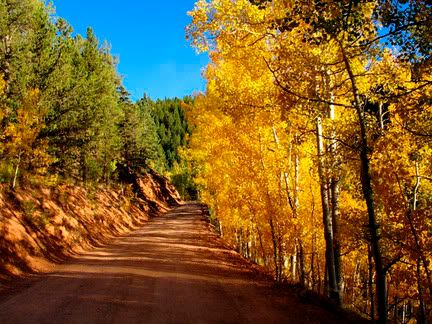 IMAGE: http://i19.photobucket.com/albums/b194/woffles/FallDirtRoad.jpg