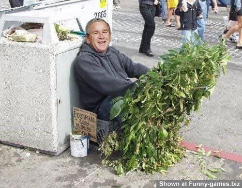 homeless-george-bush.jpg