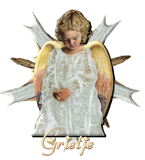 [img width=500 height=550]http://i19.photobucket.com/albums/b195/helderzien/engell.gif[/img]