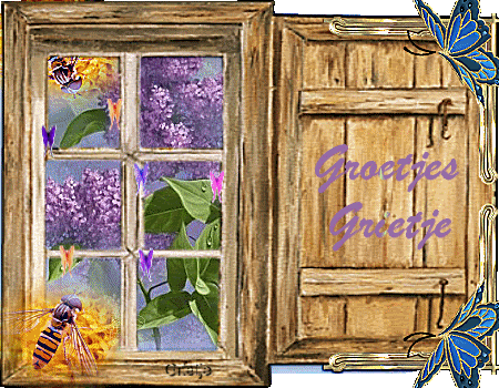 [img width=450 height=350]http://i19.photobucket.com/albums/b195/helderzien/venster.gif[/img]