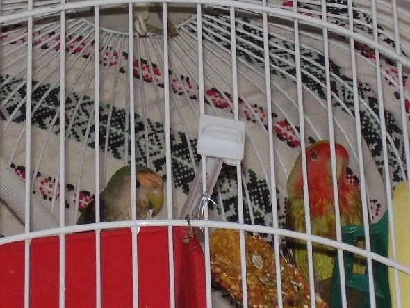 Photobucket - Video and Image Hosting