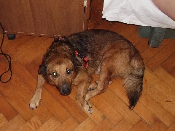 Photobucket - Video and Image Hosting