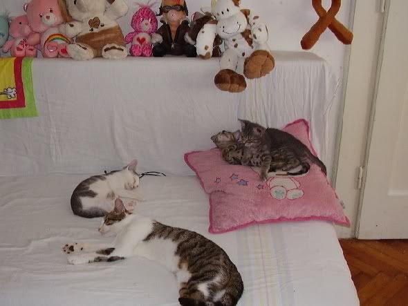 Photobucket - Video and Image Hosting