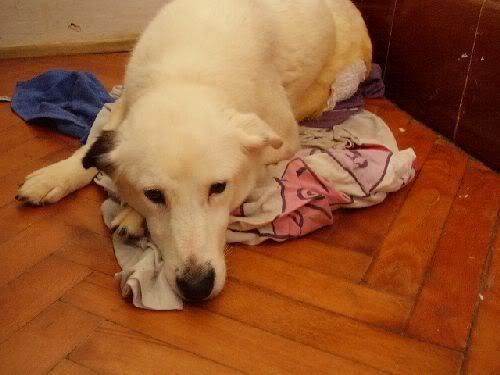 Photobucket - Video and Image Hosting