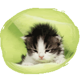 Image hosting by Photobucket