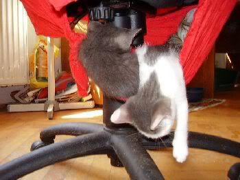 Photobucket - Video and Image Hosting