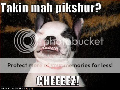 funny-dog-pictures-dog-says-cheese.jpg