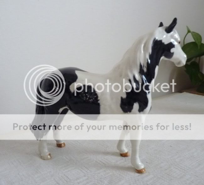 Beswick 1373 Pinto Pony Black  