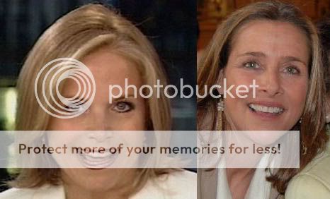 Meredith Vieira Fakes