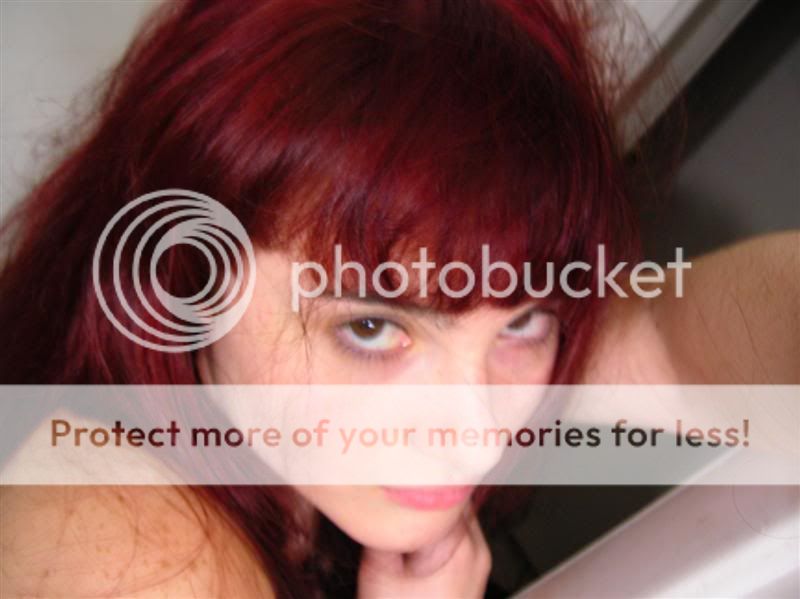 Photo Sharing and Video Hosting at Photobucket