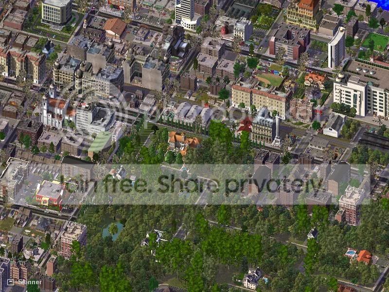 11Skinner-Town.jpg