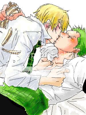Sanji and Zoro One Piece anime yaoi Pictures, Images and Photos