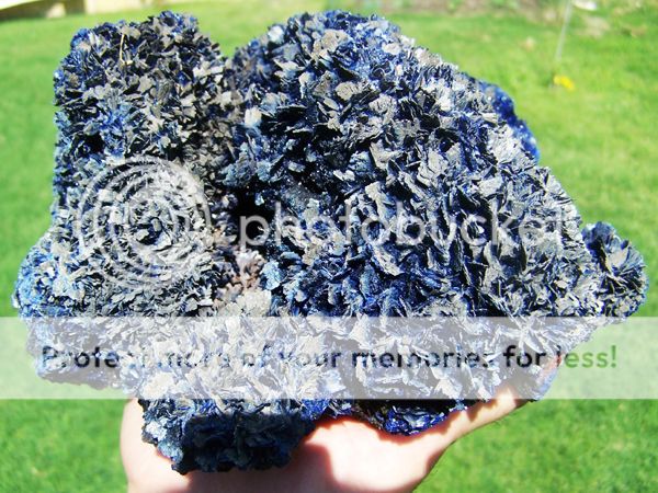 Genuine Museum Deep Blue Azurite Flowers, Morocco Ne  