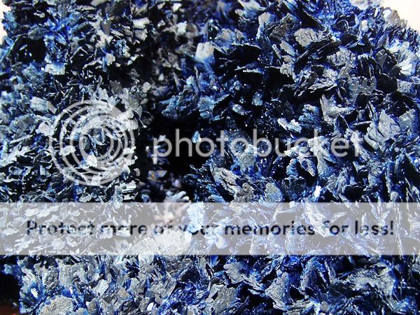 Genuine Museum Deep Blue Azurite Flowers, Morocco Ne  