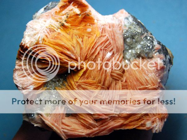 Superb Pink Barite w/Cerussite on matrix, Mibladen,  