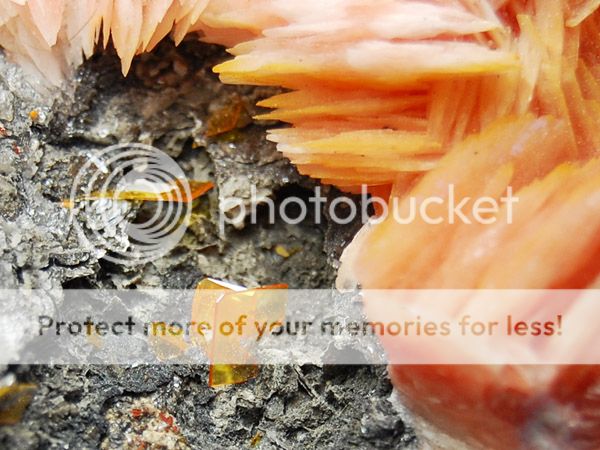 25 Superb Pink Barite w/Wulfenite on matrix, Miblade  